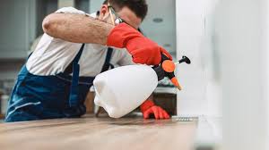 Best Residential Pest Control  in Westwood Lakes, FL